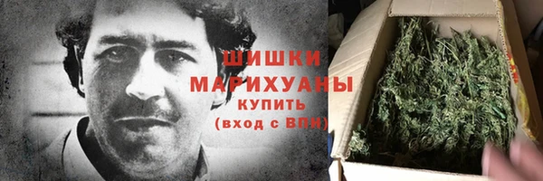 тгк Ладушкин