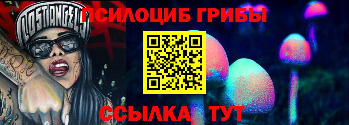 Псилоцибиновые грибы мицелий  Маркс 