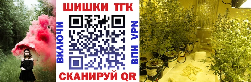 закладки  Маркс  МАРИХУАНА сатива 